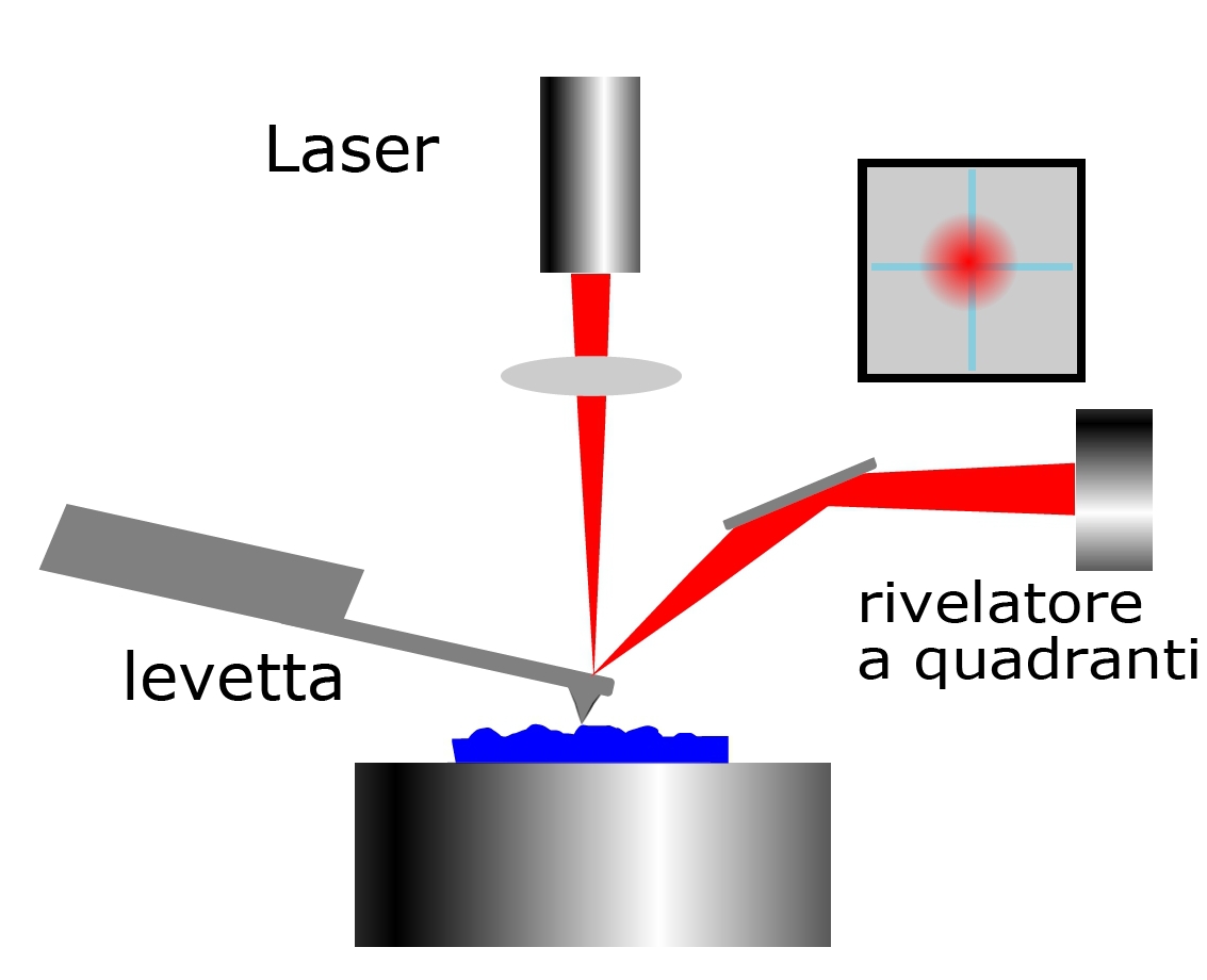 AFM principle